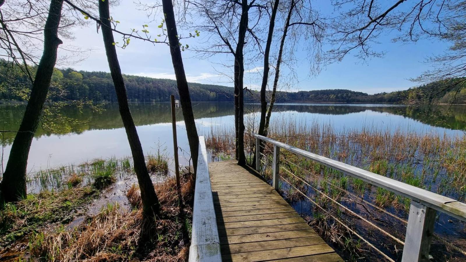Osrodek La La Las - Domki Letniskowe W Lesie Nad Jeziorem Bytnica Exterior foto